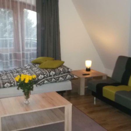 Apartamenty Lejowka Chocholow Eksteriør billede