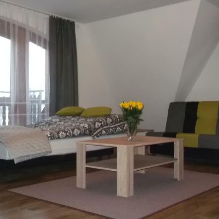 Apartamenty Lejowka Chocholow Eksteriør billede